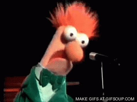 beaker gif|beaker muppets gif.